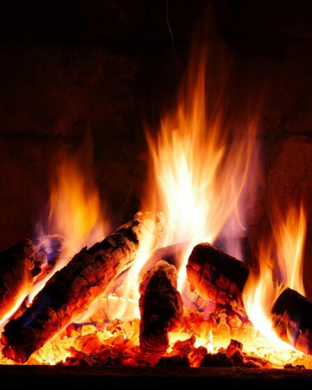 Hochwertiger Biokamin